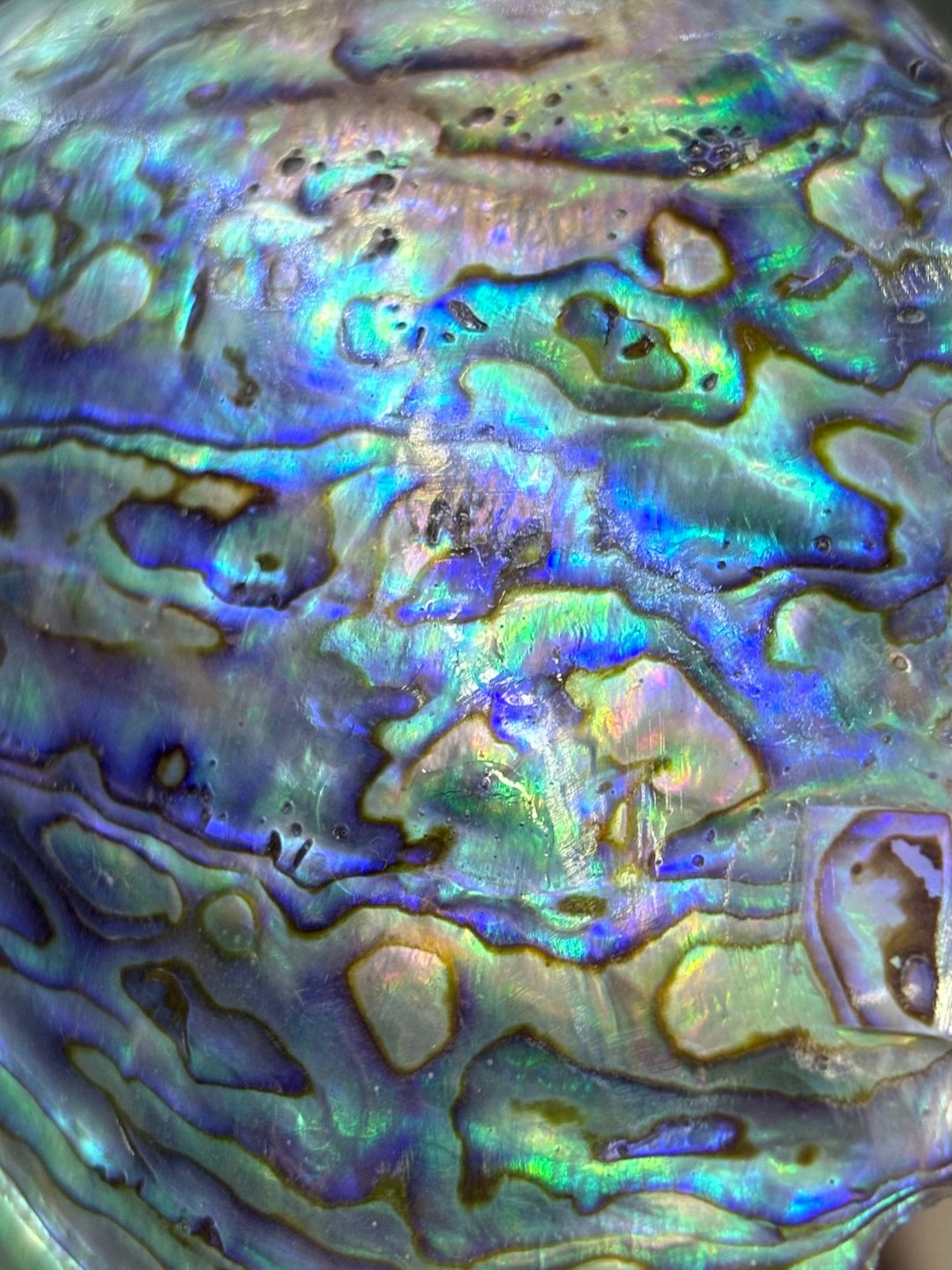 The Iridescent Magic of Jagae: How Korean Mother-of-Pearl Brings Calm Luxury to Modern Spaces
