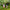 2 Pcs set Moss micro landscape decoration South Korean couple DIY assemble small ornament gardening decoration meat decorations