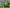 2 Pcs set Moss micro landscape decoration South Korean couple DIY assemble small ornament gardening decoration meat decorations