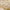 20sheets 50x70cm Bow Tissue Parper Printed Flowers Wrapping Floral Paper Packaging PaperKnot Ins Korean Gift Rose Packing Parper