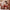 Court Style Hanbok Women's Korean Traditional Costume Hot Silver And Gold Plated Yanji Travel Wedding Photography Dress High-end