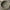 Antique Kiln Change Green Field Incense Stove Treasure Bowl Line Aromatherapy Furnace Consecrate Buddha Triangle Holder Ornament