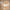 Bamboo Weaving Bamboo Handicrafts Minimalist Bedroom Study Desk Small Book Lamp bedside table desk lamp Japanese book lamp