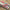Keycaps Korean Cherry Pbt Watermelon Red Retro Architectural Style For Aula Ajazz DIY Keyboard Keycap