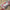 Keycaps Korean Cherry Pbt Watermelon Red Retro Architectural Style For Aula Ajazz DIY Keyboard Keycap