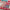 Keycaps Korean Cherry Pbt Watermelon Red Retro Architectural Style For Aula Ajazz DIY Keyboard Keycap
