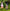 2 Pcs set Moss micro landscape decoration South Korean couple DIY assemble small ornament gardening decoration meat decorations